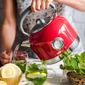 Retro Electric Kettle with Thermometer Vintage Cuisine