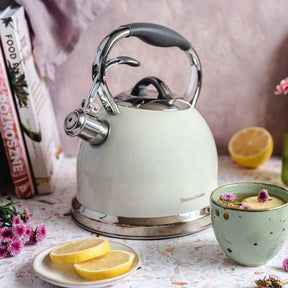 Traditional retro kettle with whistle Vintage Cuisine