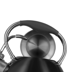 Traditional retro kettle with whistle Vintage Cuisine