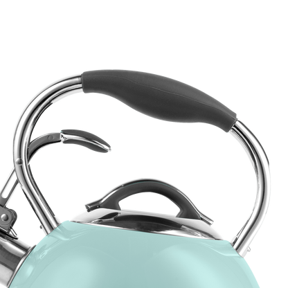 #cor_menta,#color_mint,#color_menta