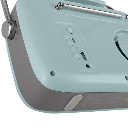 #cor_menta,#color_mint,#color_menta